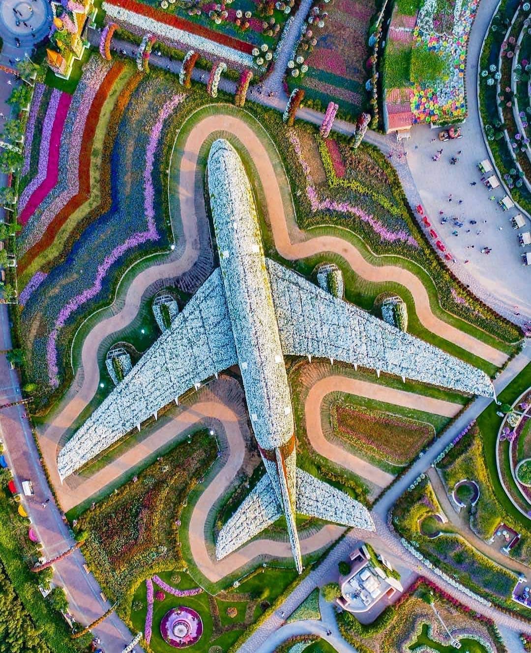 BEAUTIFUL DESTINATIONSさんのインスタグラム写真 - (BEAUTIFUL DESTINATIONSInstagram)「Wow how amazing is this?! 💖💚❤️💜💛 The Dubai Miracle Garden is a flower garden Dubai, United Arab Emirates. The garden occupies over 72,000 square meters, making it the world's largest natural flower garden featuring over 50 million flowers and 250 million plants! (📸: @bachir_photo_phactory 📍: Dubai, United Arab Emirates)」3月3日 23時00分 - beautifuldestinations