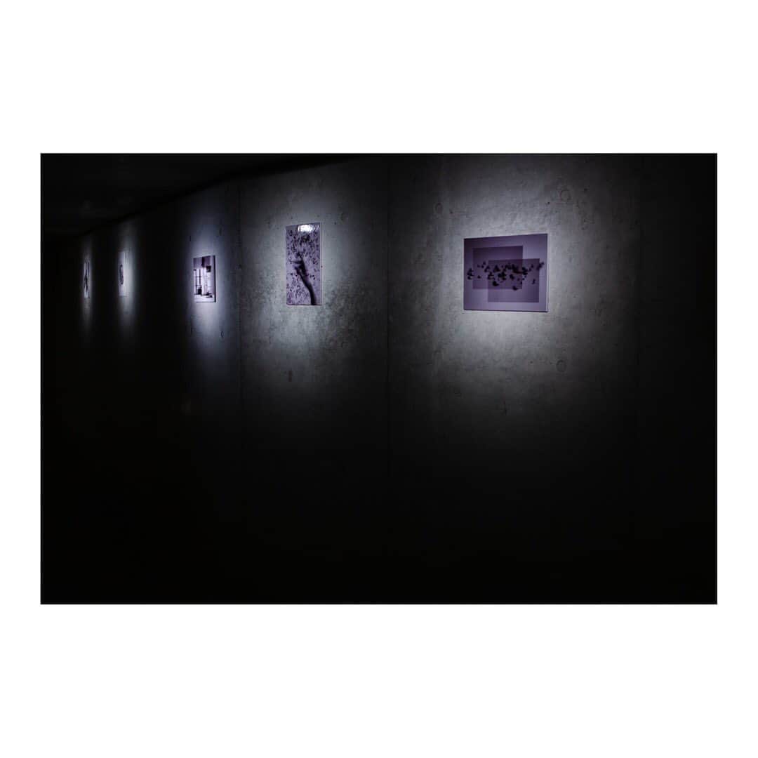 中本千尋のグルメインスタ