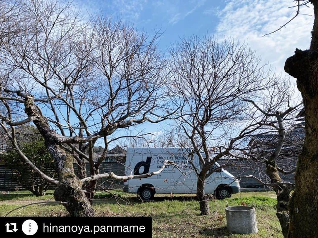 西条市さんのインスタグラム写真 - (西条市Instagram)「東京近郊の方へ🗼﻿ ﻿ 3/6から愛媛や西条のモノたちが﻿ 渋谷のヒカリエで展示され、ます✨﻿ ﻿ ひなのやさんの投稿が完璧なので🌾﻿ 詳しくは↓こちらを見てね﻿ ﻿ ﻿ ﻿ ※ひなのやさん丹原製造所の店舗は現在休業中です﻿ ﻿ Repost @hinanoya.panmame with @get_repost﻿ ・・・﻿ 2日27日 朝　晴れ﻿ 「d design travel愛媛号」の﻿ 発刊に合わせた3/6からの展覧会﻿ 「d design travel EHIME EXHIBTION」の﻿ 展示品を引き取りに、﻿ d&departmentのトラックが﻿ 東京からやってきました。﻿ ﻿ 地球2周くらいは走っているらしい、﻿ かっこいいラッピングカー。﻿ きっと二度とない機会なので﻿ お願いしてひなのや丹原・壬生川・松山の﻿ 三ヶ所で写真を撮らせていただきました。﻿ ﻿ 細い道を（特に丹原）、﻿ そしてあちこち周ってくださり﻿ ありがとうございました！﻿ ﻿ 展覧会のポン菓子コーナーも、﻿ お楽しみに！﻿ ﻿ ————————————————﻿ 『d design travel 愛媛』発売記念﻿ d design travel EHIME EXHIBITION﻿ ————————————————﻿ 日程 : 2020/3/6（金）～6/1（月）会期中無休﻿ 時間 : 11:00～20:00（最終入場19:30）﻿ 場所 : @d47_museum（渋谷ヒカリエ8F）﻿ 参加費 : 入場無料﻿ ﻿ Date : 2020/3/6 Fri. 〜 6/1 Mon. ﻿ Open : 11:00〜20:00﻿ Place : @d47_museum﻿ Admission Free﻿ ﻿ ﻿ #ddesigntravel﻿ #ddepartment﻿ #パン豆 #ひなのや #ポン菓子 ﻿ #瀬戸内 #せとうち #setouchi #愛媛 #愛媛県 #えひめ #ehime #西条 #西条市 #壬生川 #丹原 #lovesaijo #松山 #松山市 #愛媛土産 #愛媛旅行 #愛媛グルメ #スイーツ好きな人と繋がりたい #おやつ #大人のおやつ #パン豆ひなのや #ポン菓子ひなのや #ひなのや松山三番町店 #ひなのや壬生川駅前店﻿ ﻿」3月4日 11時12分 - lovesaijo