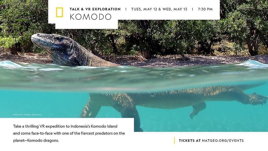 WildLifeのインスタグラム：「By @williamwinram Very excited to announce that I will be in Washington DC this May doing a series of Nat Geo Live (@nat_geo_live ) talks at the National Geographic Headquarters in the world’s first and currently the only VR theatre.  I will be sharing the stage with the incredibly talented Dr. Andrea Marshall ( @queenofmantas )as we debut our VR film collaboration shot in Komodo National Park.  This film was a collaboration between @marinemegafauna Foundation, The @watermenproject and the talented guys at @vrgorilla We were fortunate to have captured some incredible sequences both on land and in the water, including the elusive manta ray mating ritual and all in 360! I feel confident in saying that the VR experience is the closest you will get to being with us on the expedition without getting wet.  The VR Gorilla team weave a captivating story which not only highlights the Marine Megafauna Foundation's work in the region with the flora and fauna but also some of the pressing issues facing this natural world.  The guys really did an amazing job both capturing the surface sequences and editing all of the under water footage into some great “edge-of-your-seat” sequences with the Komodo dragons… Andrea and I will be sharing what it was like to swim with Komodo dragons for the first time (this being a world first as well) and a pretty exciting experience which you can share in with us via the VR experience.  If any of you happen to be in the DC area this May or want to make the trip please consider booking this exclusive event.  It is arguably the most immersive cinematic experience on earth so join us for an exciting trip to Komodo National Park on May 12th and 13th!  #marineprotectedarea #nocage #freediving #apnea #oceanexploration #mindfulness #saltlife #onebreath #togetherbandofficial #explorersclub #underwater #diving #ocean #sea #beachlife #underwaterpics #motivation #instagood #photooftheday #instamood #sharkweek #greenland #exploration」