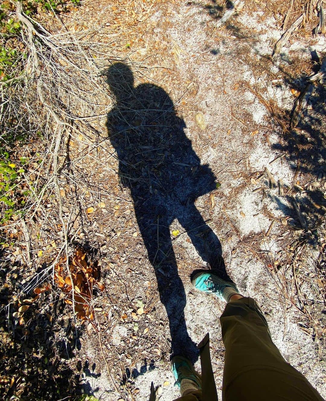レイチェル・パーソンズのインスタグラム：「Florida National Scenic Trail P.1」