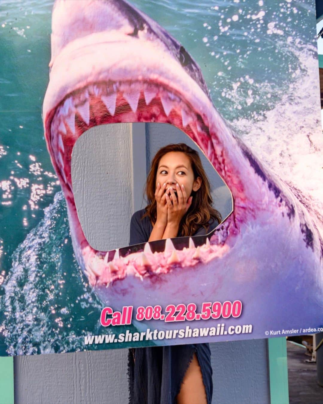 鮎河ナオミさんのインスタグラム写真 - (鮎河ナオミInstagram)「スリル満点💙 ハワイのシャークケージツアー🦈 @hawaii_tv_official 見てね💙 . . . . . #northshore #oahu #sharkcage #beautifulcreatures #love #sharks #サメ大好き #ハワイ #シャークケージツアー #ノースショア #オアフ」3月4日 8時44分 - naomiayukawa
