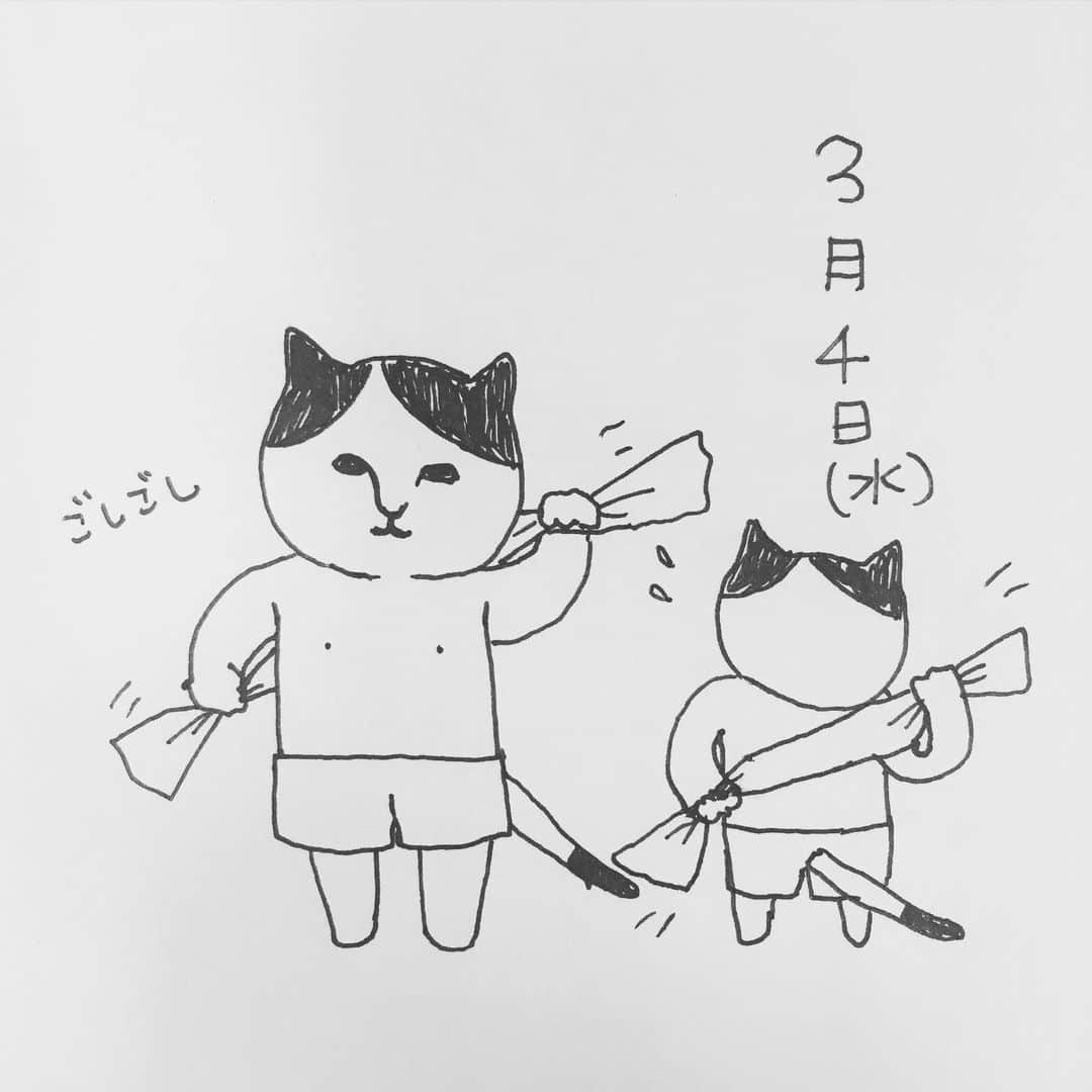 ねこのインスタグラム