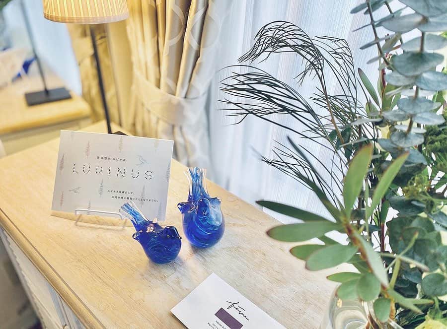 布川桃花のグルメインスタ