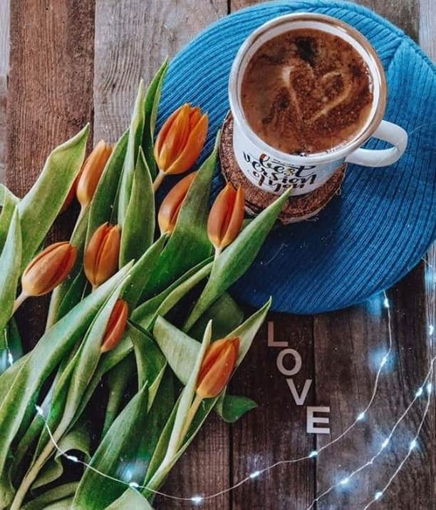 NESCAFEのインスタグラム：「The wait is over: we're meeting this year's spring season with open arms and delicious brews☕! May the upcoming season bring you lots of sunshine and joy!☀️😊​ ​​​​ 📷 by @beti.befit #coffeelovers #coffeetime #instacoffee ​​#nescafe」