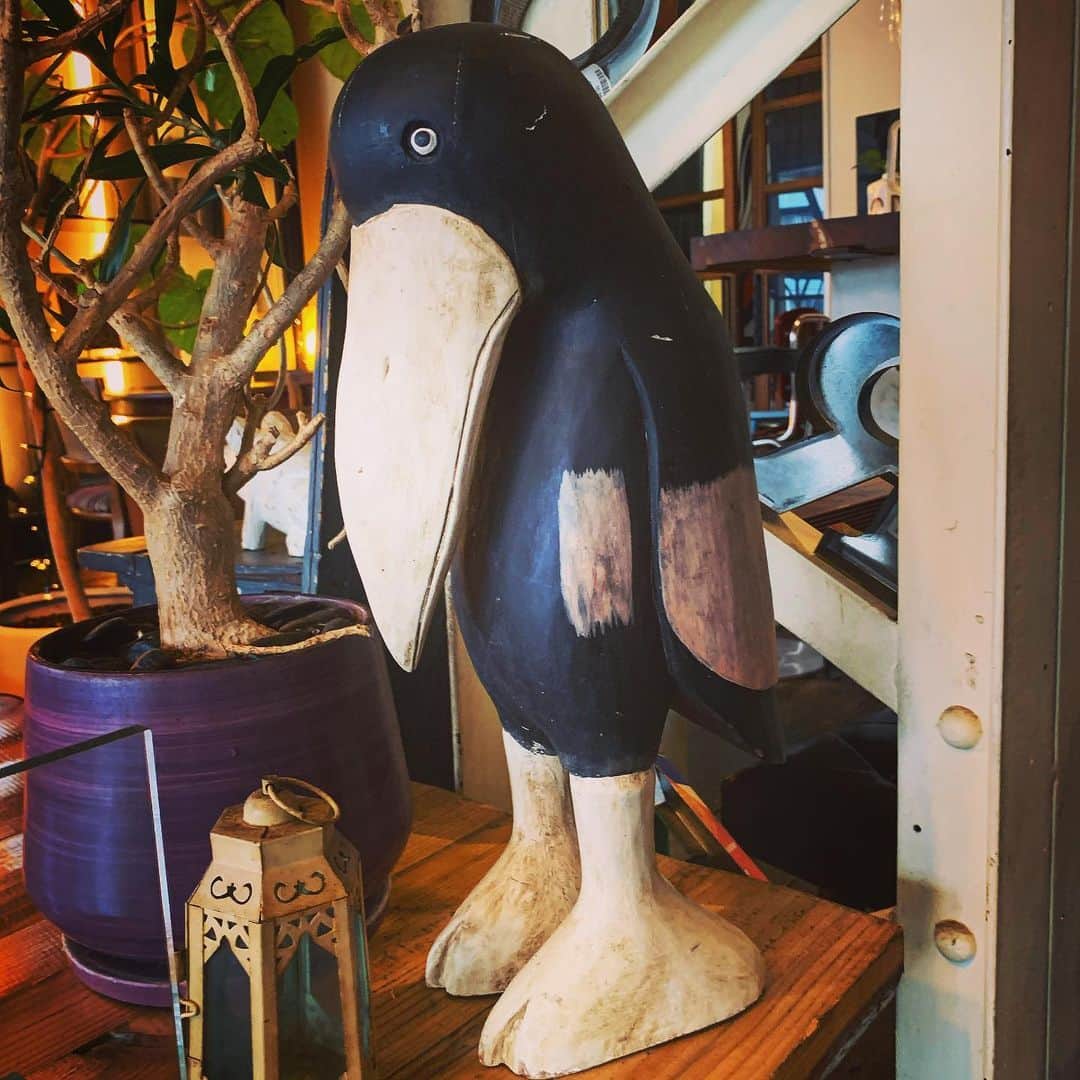 瀬戸康史さんのインスタグラム写真 - (瀬戸康史Instagram)「これ何の鳥？ カラスなのか、ペンギンなのか、ハシビロコウなのかで揉めてます。 教えてくれ。」3月4日 13時12分 - kojiseto0518