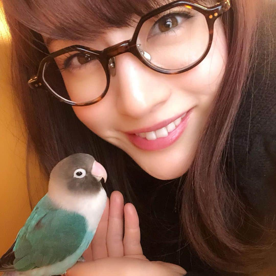 新井恵理那さんのインスタグラム写真 - (新井恵理那Instagram)「この子の最近の趣味∧( 'Θ' )∧ お気に入りのポストカードがボロボロです。。でもうまく繋がってきていて見事！と褒めてしまう、親バカ。（ ; ; ） #ブルーボタンインコ #ラピス #bird #新井恵理那 #centforce」3月4日 13時38分 - elina_arai