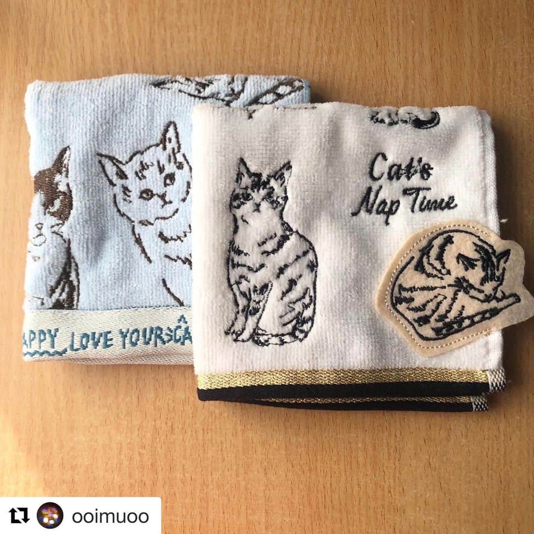のインスタグラム：「#Repost @ooimuoo with @get_repost ・・・ タオル二色買い  #cats_naptime  #catsnaptime  #afternoontea  #afternoontealiving #猫グッズ」