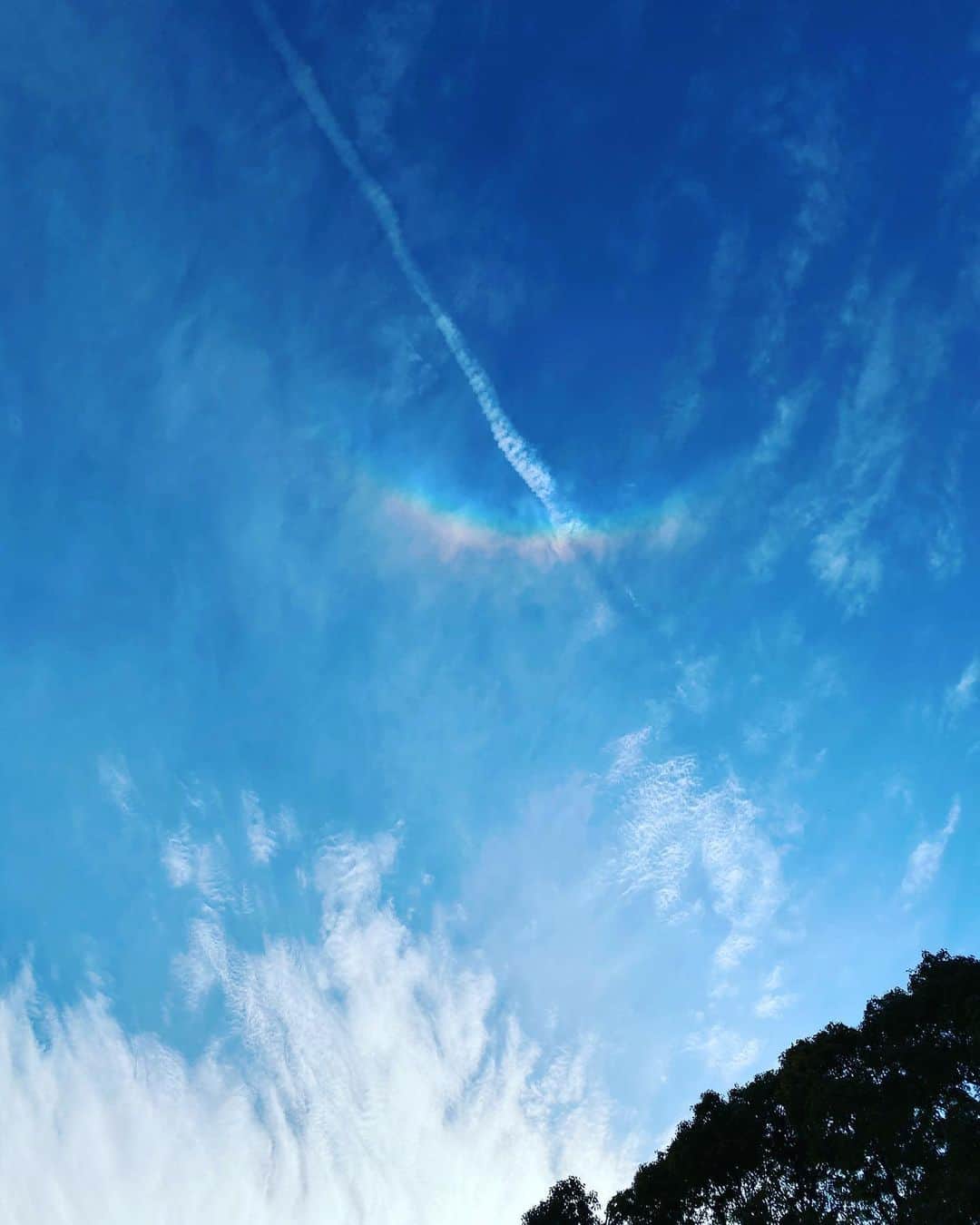 佐田真由美さんのインスタグラム写真 - (佐田真由美Instagram)「飛行機雲と、レインボー うーむ。」3月4日 15時31分 - sadamayumi