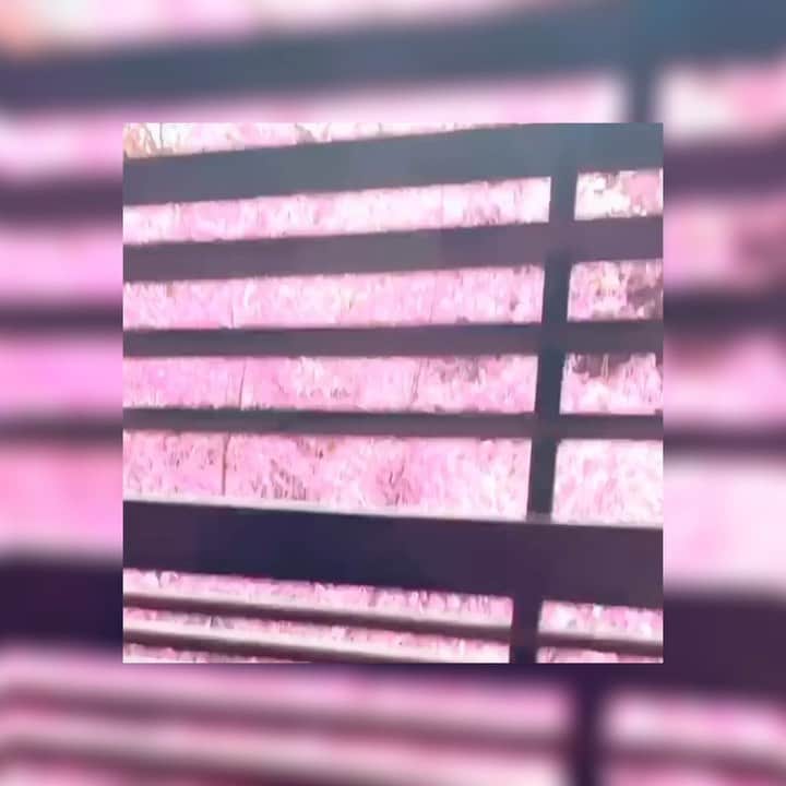 𝑵𝑶𝑹𝑰𝑲𝑶のグルメインスタ