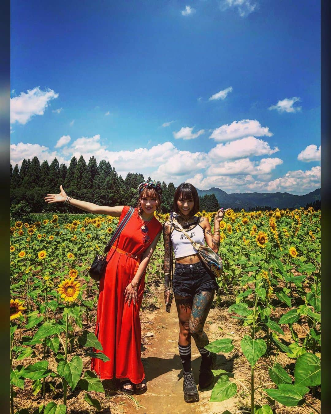 AIKAさんのインスタグラム写真 - (AIKAInstagram)「. からのツアーだったので次の日は ひまわり畑🌻と桃狩り🍑💞 スライド🔜してね🧚🏽‍♀️ . 以上だりはに夏旅行でした!!遅 . . . #aika #泉麻那  #新潟 #ひまわり畑  #桃狩り #バスツアー」3月4日 16時16分 - aika_honmono