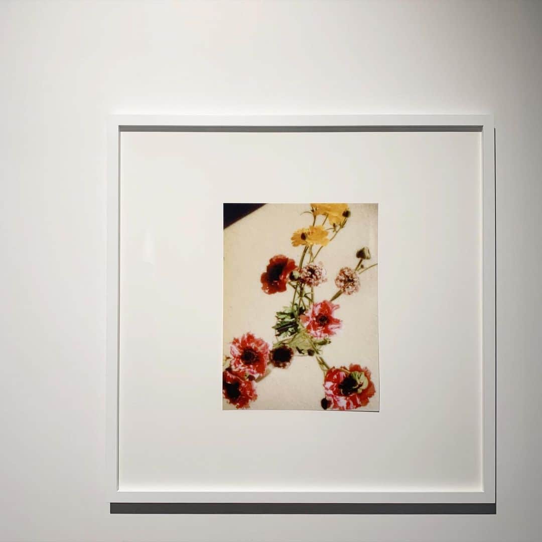 mina hinokuchiのインスタグラム：「. ちょっと前のお休みに行った 奥山由之×edenworksの写真展“flowers“ 影の使い方と五感に触れる展示がとても素敵でした🌼 . #奥山由之 #edenworks #flowers #渋谷PARCO」