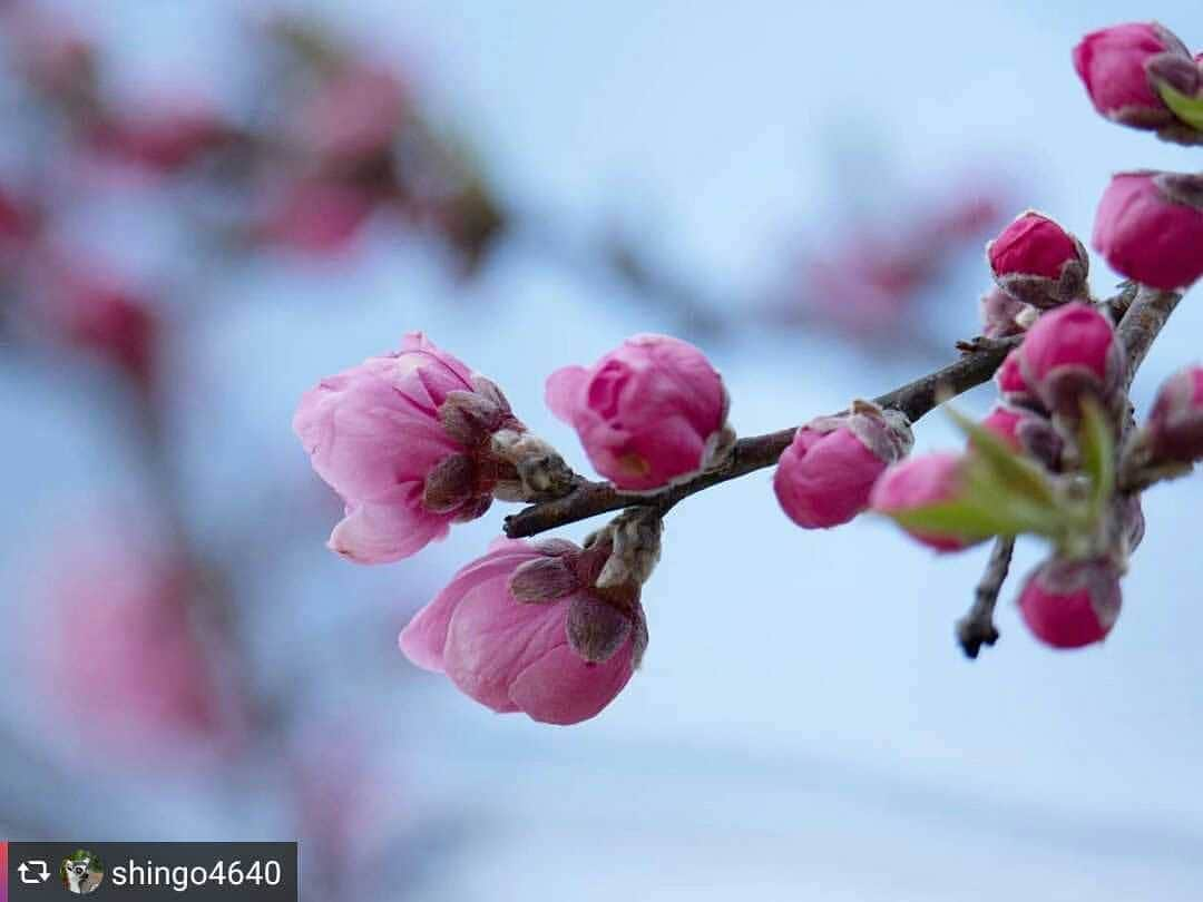 兵庫県のインスタグラム