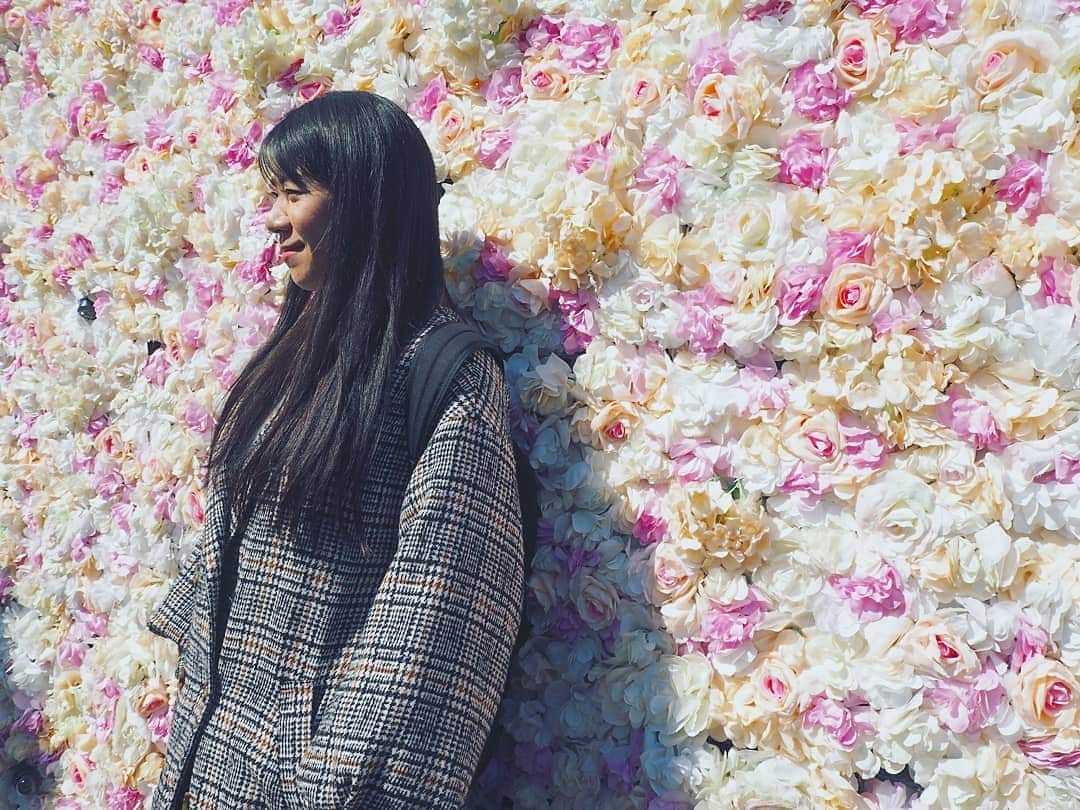 服部ひで子のインスタグラム：「つくしの匂いがしました。  着々と  春の訪れが近いのを感じる  今日この頃。  冬とともに  新コロちゃんも  バイバイしてくれたら  良いですな～。➰👋😃 ひで子。」