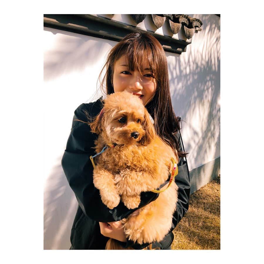 水谷果穂さんのインスタグラム写真 - (水谷果穂Instagram)「🐕 成犬になっても3キロくらいって言われてたのに もうすぐ5キロに突入しそうな勢いでスクスク成長しているモナさん。 そしてカメラを向けると意識しちゃって素っ気なくなる、笑 #お散歩🐾」3月4日 19時35分 - kahomizutani_official