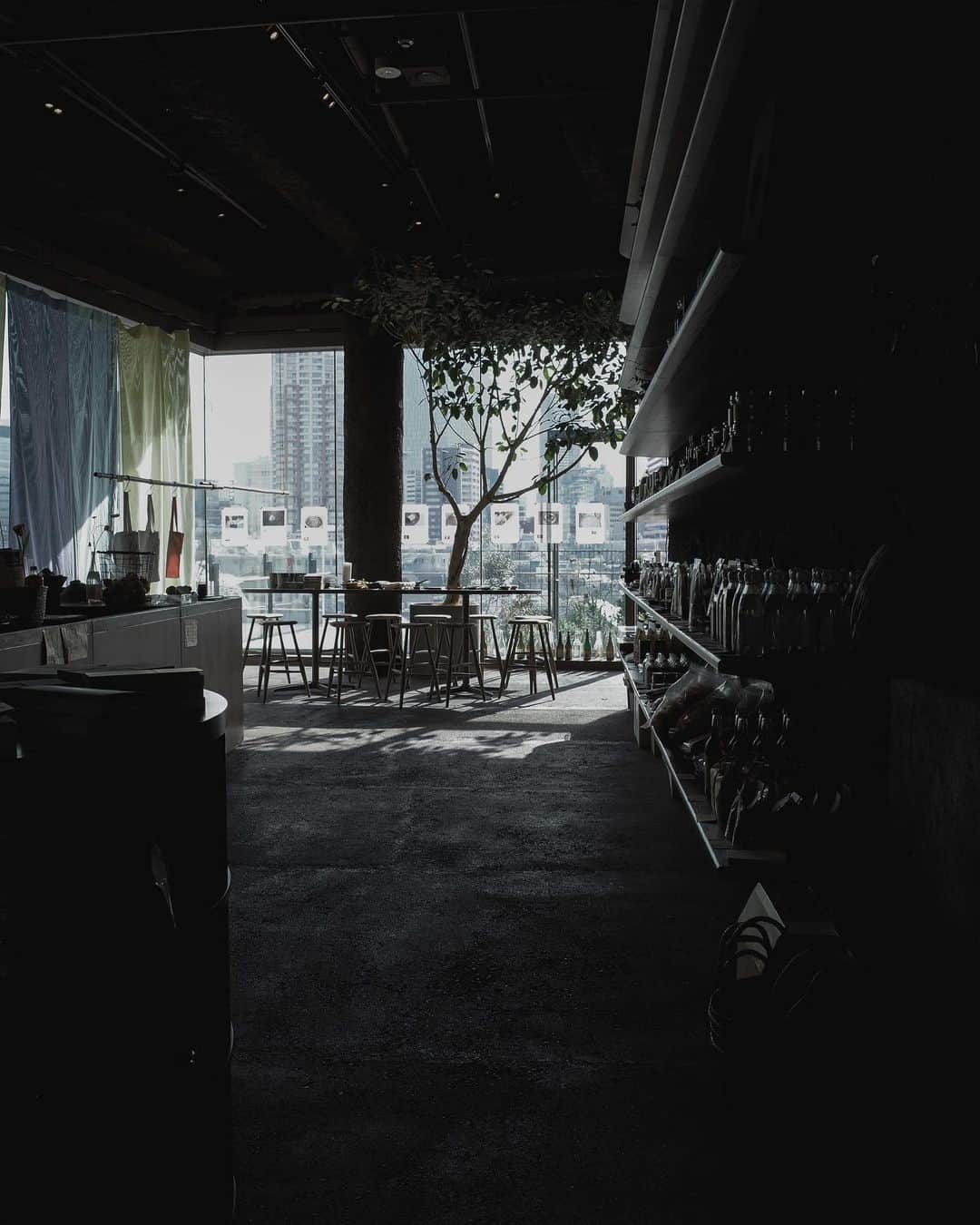 島野ミキさんのインスタグラム写真 - (島野ミキInstagram)「・ ・ 📍 @gyre_omotesando @rin_co_co とお茶したところが オシャレすぎてシャッターが止まらなかった。 ・ ・ #gyre#表参道#Tokyo#オシャレ#表参道カフェ#カフェ巡り #カフェ好きな人と繋がりたい #カフェスタグラム #カフェ好き #catstagram #cafe #카페투어 #카페스타그램#petrel_jp#lucrajp#mamagirl#locari #hugmugcafebu #東京女子部 #retrip_cafe#東京カフェ#東京グルメ#tokyocafe」3月4日 19時32分 - miki_shimano