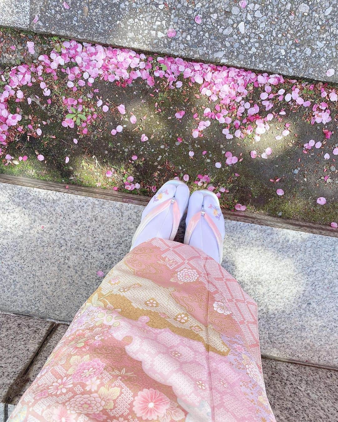 Isakoさんのインスタグラム写真 - (IsakoInstagram)「真の美しさとは🌸 外見だけでなく、内からの美。 心の美しさや優しさは外見にも 現れるものだと思います🥰 . 昨日、名古屋で行われたbest of miss Aichi大会💐 ファイナリストに選ばれていたお姉ちゃんの応援に 行ってきました💕 @p.yopppikooo . 結果はなんと、愛知グランプリ👸💫 . 本当に本当に綺麗で、お姉ちゃんの外見の美しさだけでなく、内からの美も評価して貰えたことが妹としてとても誇らしかった😢 . よっちゃんおめでとう🎊 そしてそして！一緒になって応援して下さった 私のフォロワー様もありがとう💕💕 . 次は世界大会に出場するグランプリを決める 日本大会at東京💕 全力でサポートするし応援します🥰 みんなも応援してくれると嬉しいです💕 . . . . . .  #着物#着物ヘア#着物ヘア#着物ヘアアレンジ#着物コーディネート#きもの女子#着物レンタル#着物女子#浅草#ミモザ#桜#さくら#訪問着#和装#和装ヘア#和装ヘアアレンジ#さくら色」3月4日 20時02分 - ichaaako