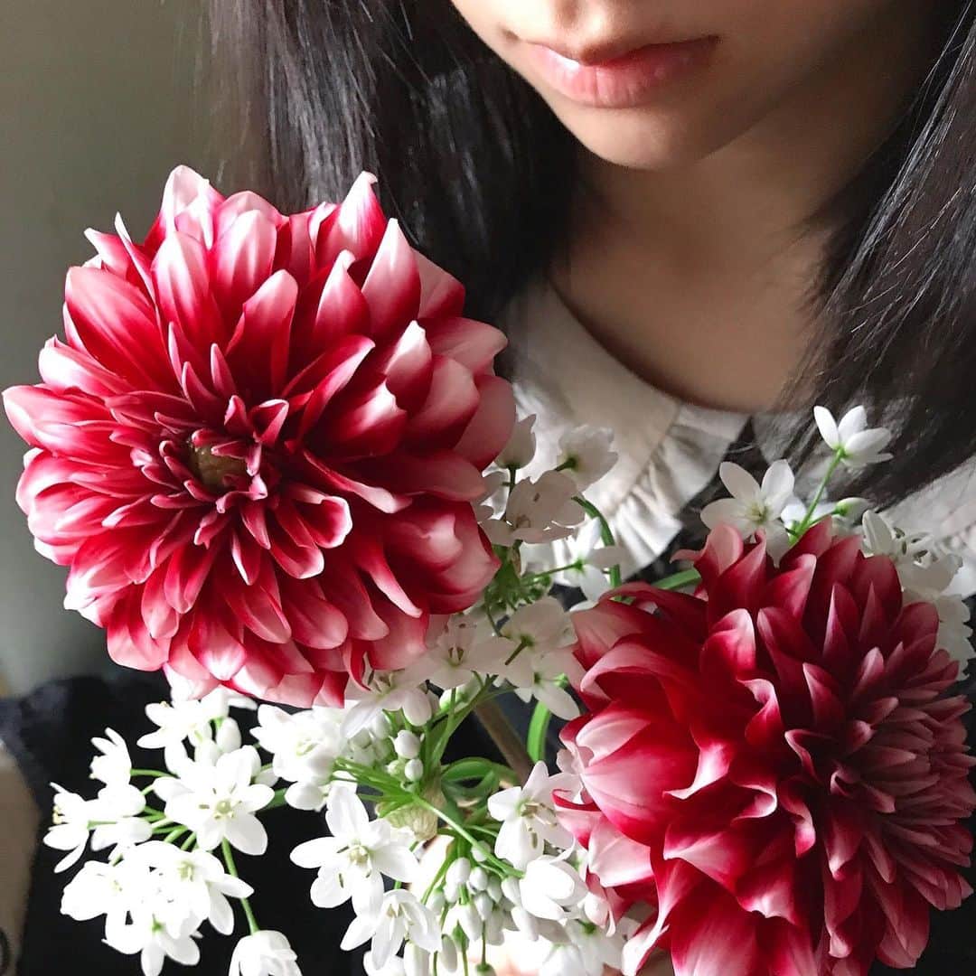 前野えまさんのインスタグラム写真 - (前野えまInstagram)「RED🥀 ・ ・ #赤い花 #ダリア #白い花 #アリウムコワニー #赤 #白 #ブーケ #花のある風景 #花と私 #前野えま  #red #flower #dahlia #white #bouquet #flowerstagram #flowerlovers #girl #photography  #follow #followme #instagram #instafollow #instagood #tagsforlikes #tflers #tagsforlikesapp #idol #actor #actress」3月5日 6時32分 - maeno_ema