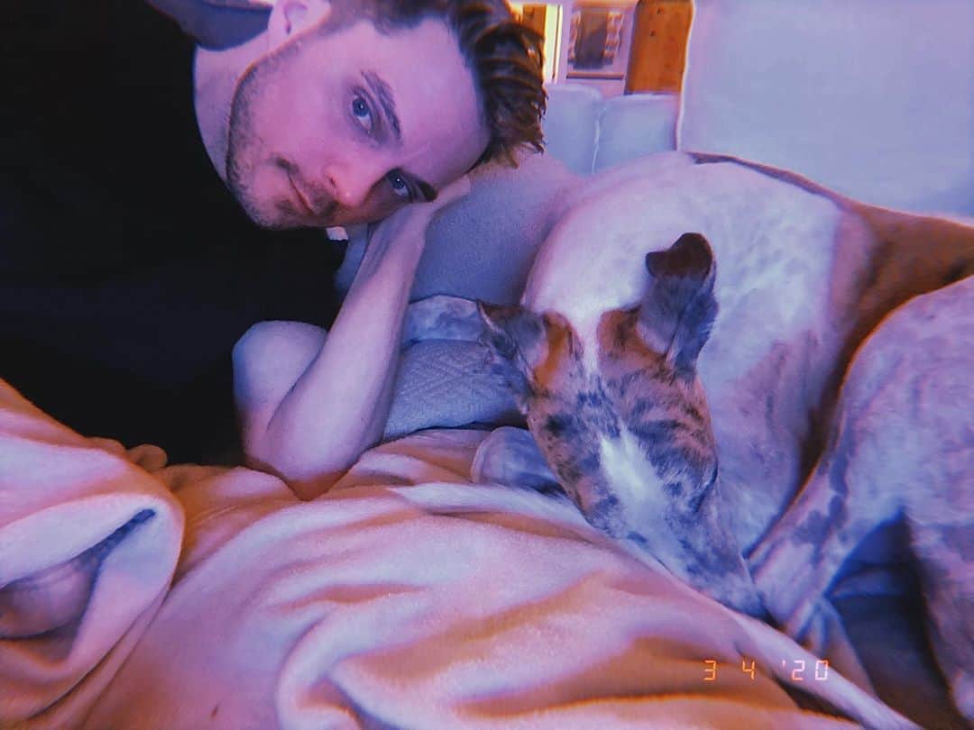 イーライ・リエブのインスタグラム：「The other day I was calling for him using the name we gave him 5 months ago when we rescued him...no response. Then I tried calling him by his original name he had before us and he immediately bolted to me. I wonder if we should just go back to his original name... I mean, I know the answer to that question.」