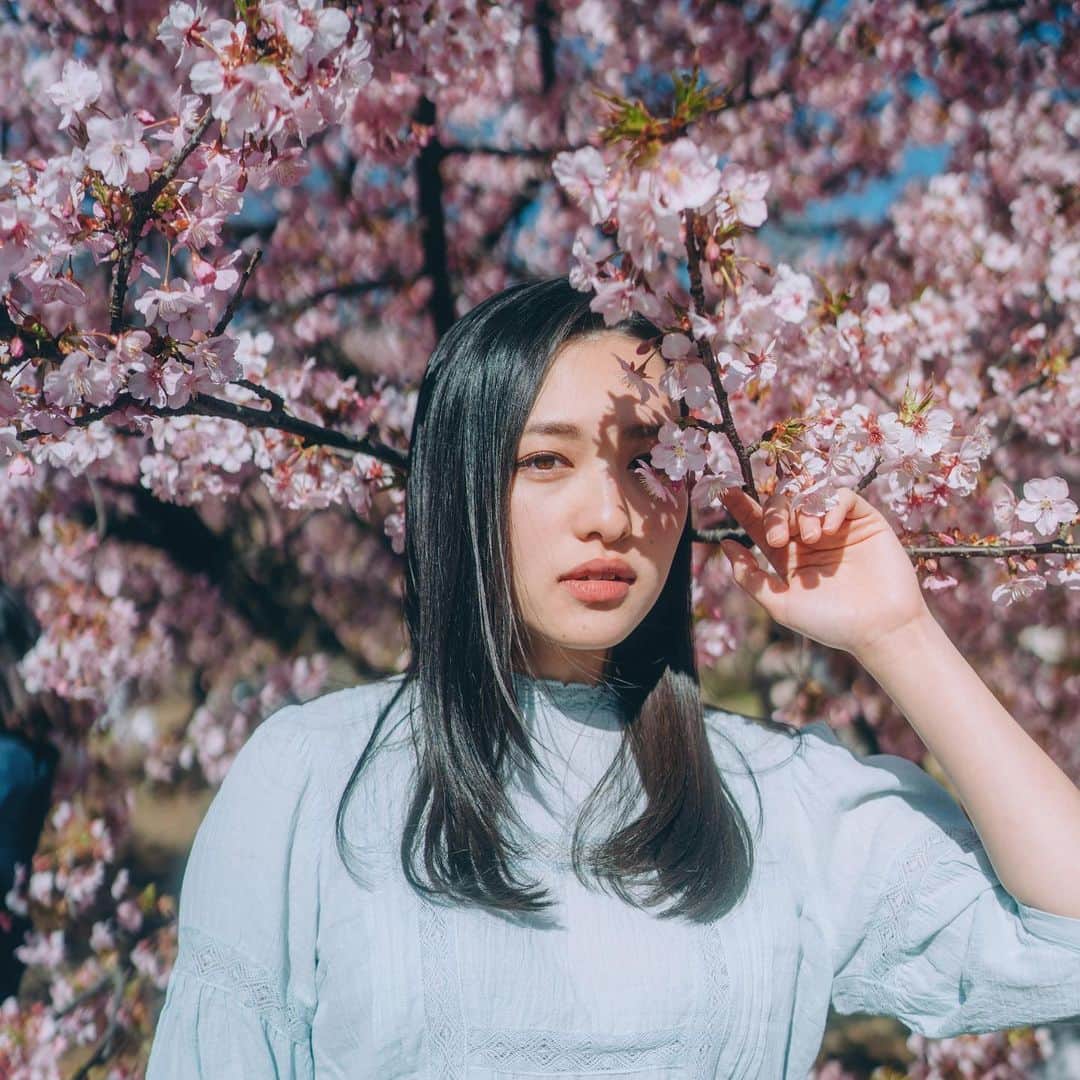 北村優衣さんのインスタグラム写真 - (北村優衣Instagram)「北村のインスタに春が訪れました。 📸 @takayoshiphoto  #spring #cherryblossom #桜 #3月 🌸」3月4日 22時23分 - kitamura_y910