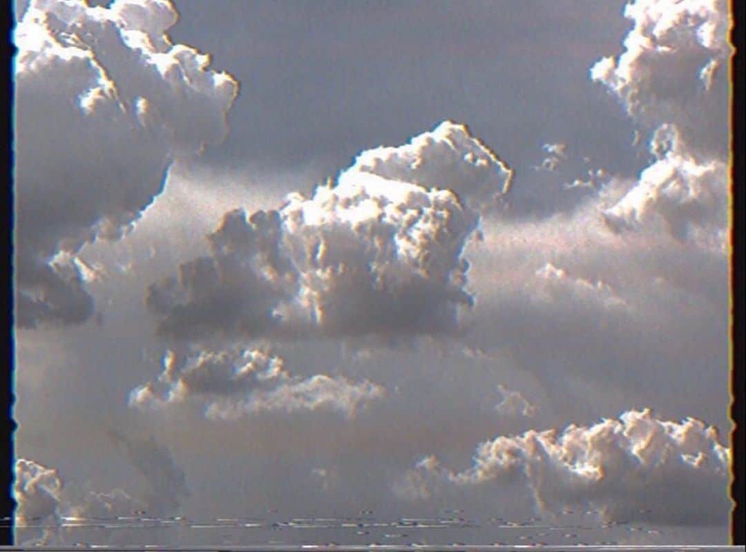 Pleun Bierboomsさんのインスタグラム写真 - (Pleun BierboomsInstagram)「In the clouds」3月5日 0時38分 - theofficialplume