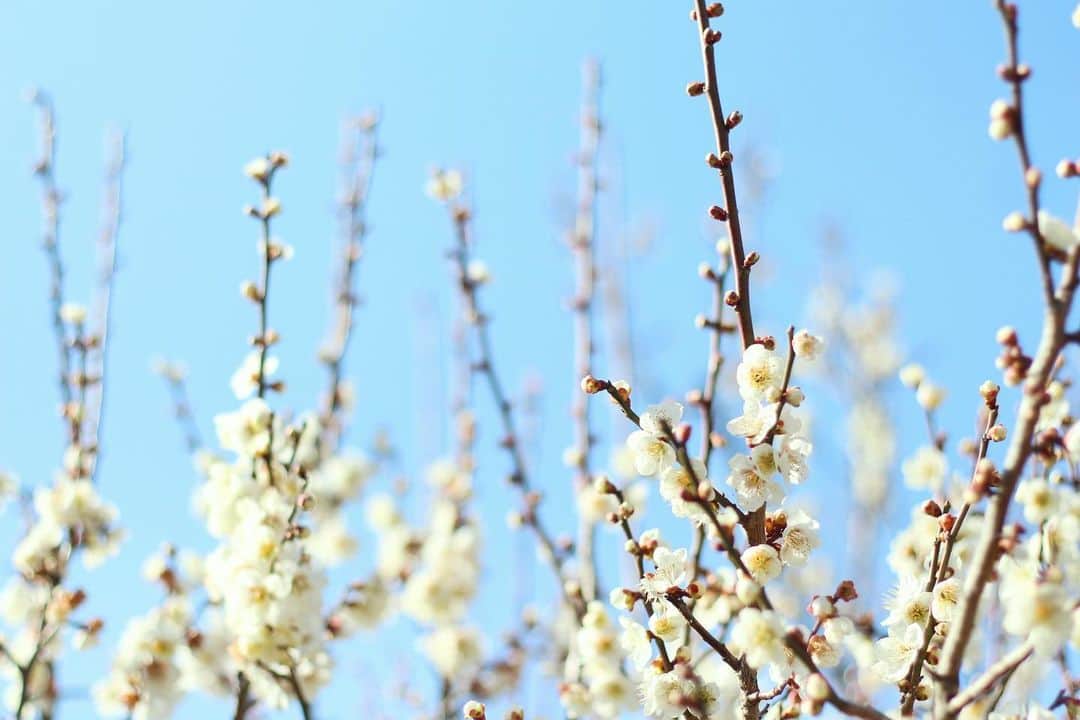 shin_goのグルメインスタ