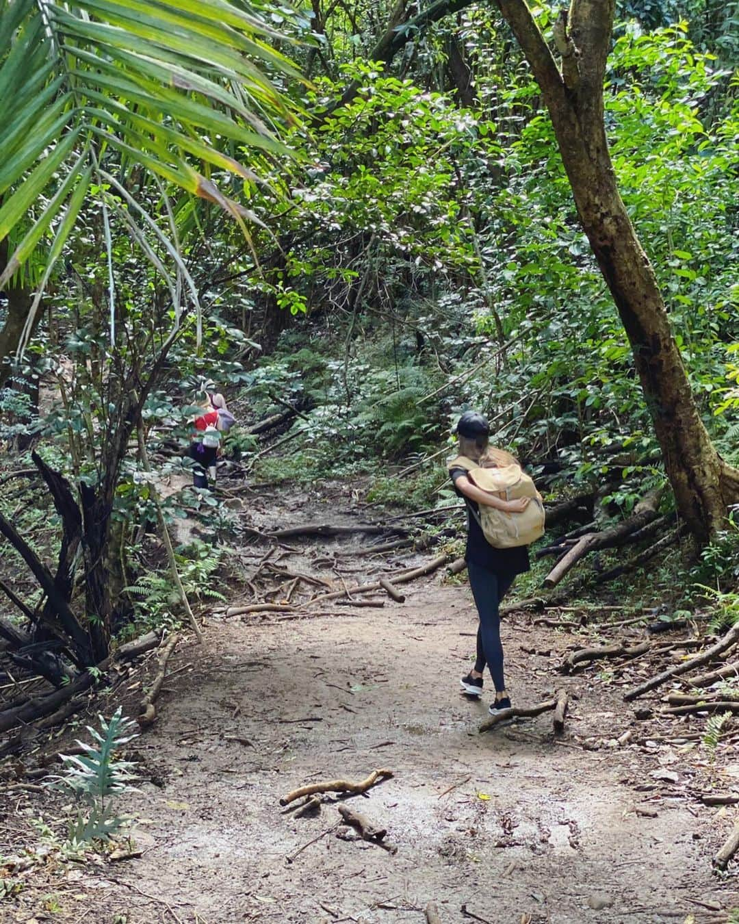 Mieさんのインスタグラム写真 - (MieInstagram)「OLOMANA TRAIL🌴 ストーリーには書いたんだけど、 なんかね、生死の境を体験した貴重な時間だった😭🌺🙏 . 撮影をお願いしてて、モデルさんになってくれた私のお友達に、集合場所はオロマナで😆🙏なんて軽い気持ちで行ったこのコース。 完全なるリサーチ不足。軽く往復2時間くらいかなと、、、思って歩きだし、結果4時間以上かかって下山。 怪我一つ、擦り傷一つなく無事に下山できて良かった😭🙏 撮影したい！と行ったけど、カメラは最初の方だけしか取り出せなかった。 . 登り始めたトレイルの後半分は、ひたすら60-90度くらいの岩場をロープを使ってロッククライミングして上を目指す場所。次の瞬間足滑らせて死んでしまうかもしれないと思った場所。 . まさに初めての体験。 . こんなトレイルがハワイには沢山あるらしい。 . 完全に自己責任。 . 最後の最後で、この、岩を登ればあの絶景が！！ていうトコまで辿りついた時、 冷静に、私は無理だ。と諦めました。 一緒にいったお友達は、ここまで来たからと、挑戦。 登っていく姿は神々しく、素晴らしい動画と写真まで撮ってきてくれて、すごくすごく羨ましく、行けなかった、行かなかった自分にもどかしさも感じながらも、昨日はアドレナリンが止まらなくて、疲れているはずなのに全然眠れなかった😂✨ この経験を通して、なんだか色んな感情が湧き出てきました。 . 1秒先事故に合うかもしれない、明日命はあるのか分からない、子供や旦那に会えなくなるかもしれない。未来は本当に分からなくて、どうなるか分からないから、今を全力で生きないと！って考えさせられたよ🥺 . そんな中、このとんでもないハイキングコースに、3ヶ月くらいの幼子をおんぶ紐でおんぶして下山している夫婦がいて、さらにおったまげ😱🙏🌺 . まじか。カルチャーショックでした🌈 まだまだ知らない世界があるんだなぁいと感じました。  #ハワイ生活　#olomanatrail #絶景　#危険な　#ハイキング　#オアフ島」3月5日 4時12分 - miefromhawaii