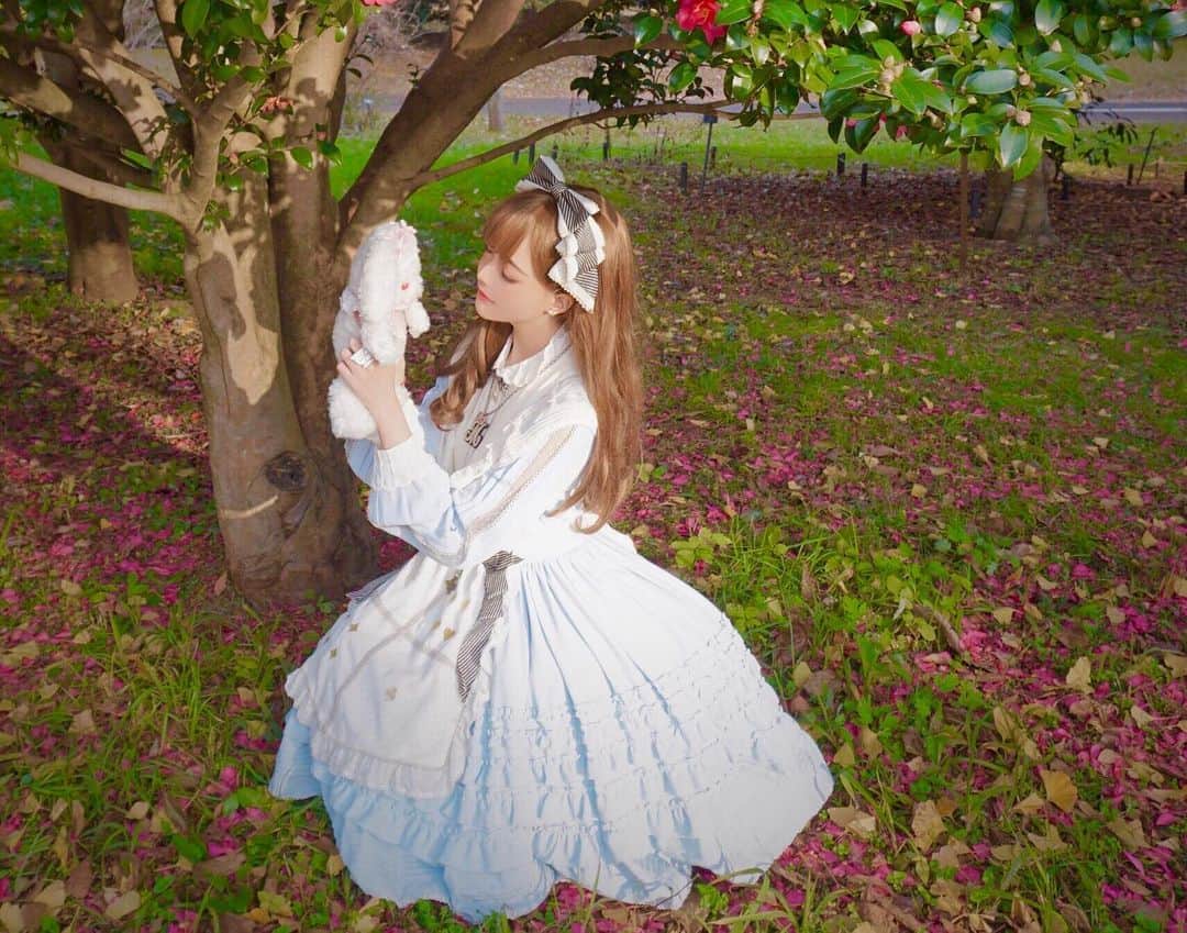 Chikako千佳子さんのインスタグラム写真 - (Chikako千佳子Instagram)「Alice in Wonderland #angelicpretty #babythestarsshinebright #innocentworld #aliceinwonderland #lolitafashion #sweetlolita #classiclolita #うさくみゃ」3月5日 7時36分 - cindychikako