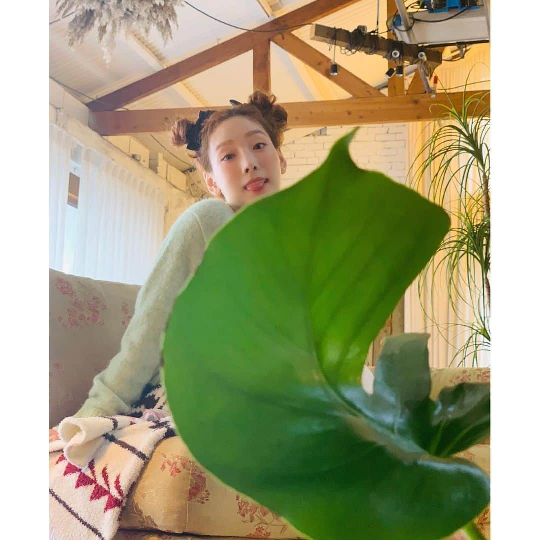 テヨン さんのインスタグラム写真 - (テヨン Instagram)「🍃」3月5日 8時25分 - taeyeon_ss