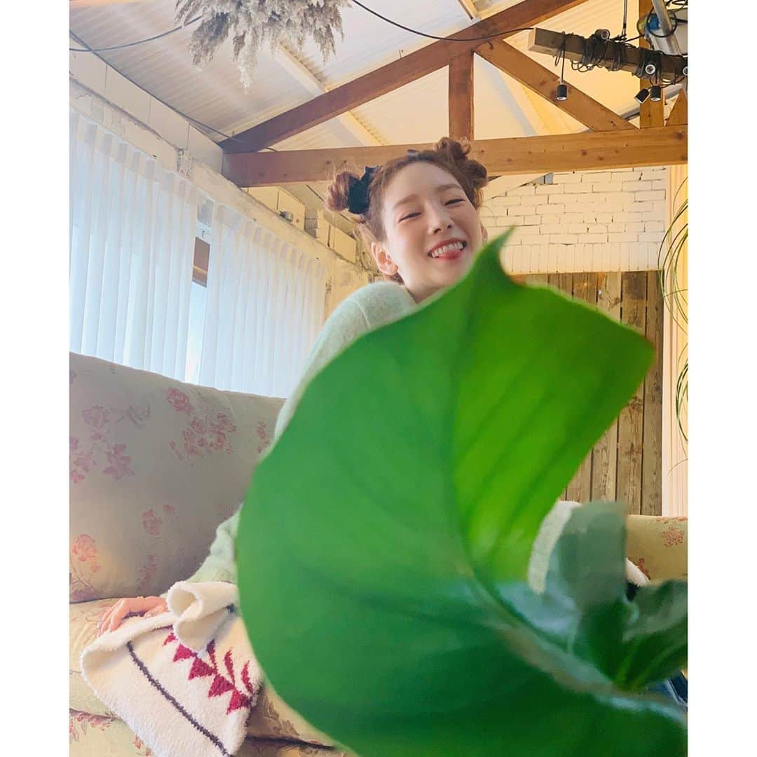 テヨン さんのインスタグラム写真 - (テヨン Instagram)「🍃」3月5日 8時25分 - taeyeon_ss