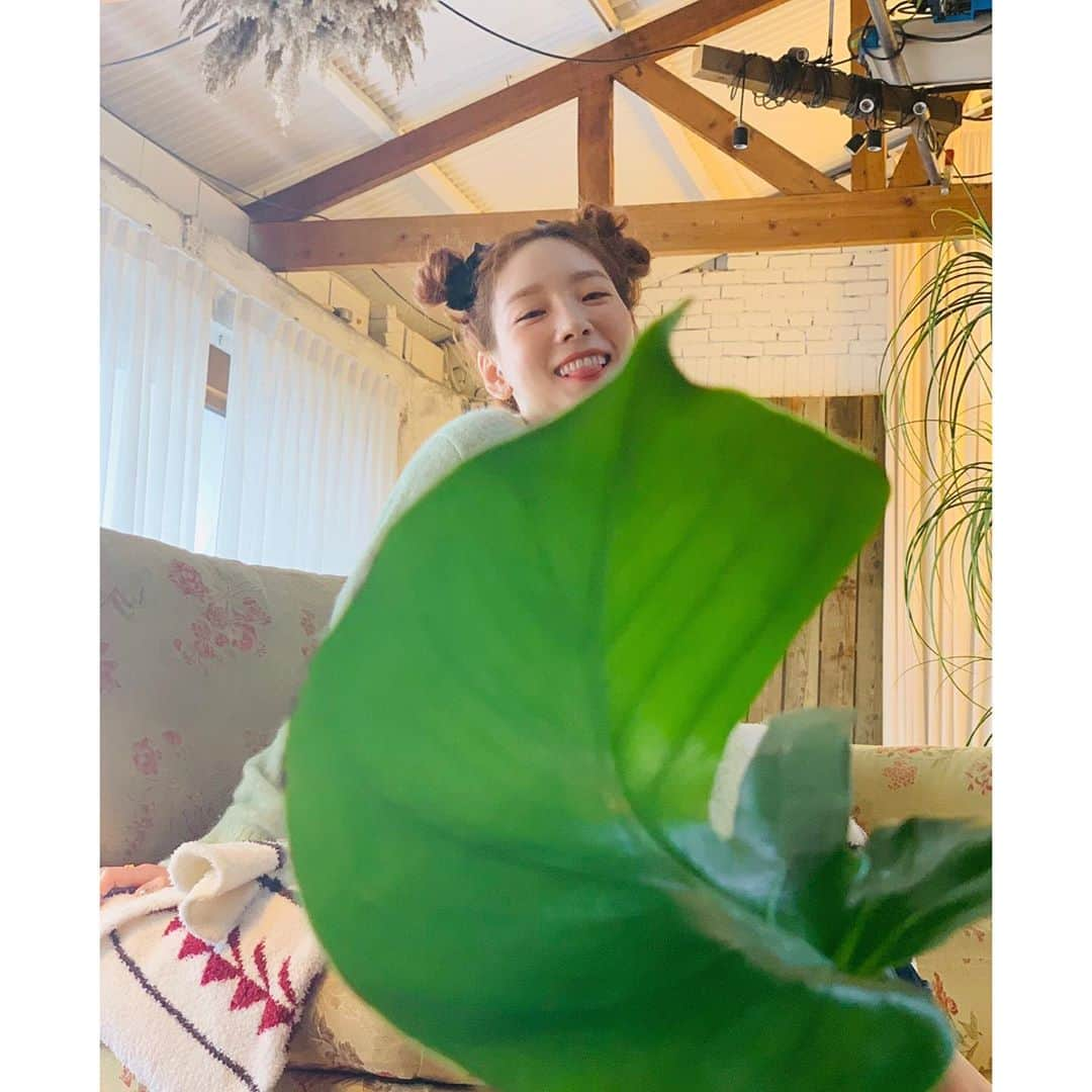 テヨン さんのインスタグラム写真 - (テヨン Instagram)「🍃」3月5日 8時25分 - taeyeon_ss