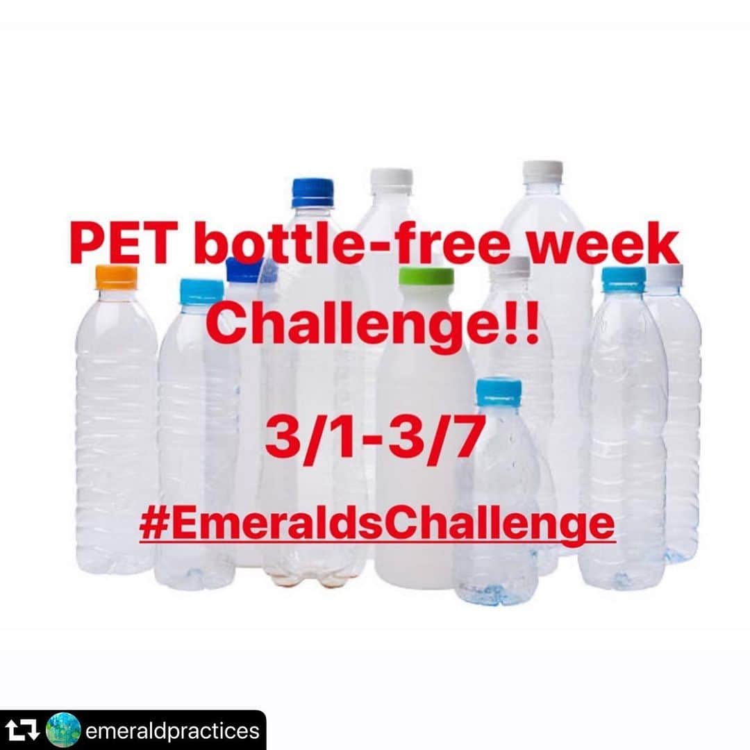 小椚ちはるのインスタグラム：「Day4!!! 投稿遅れてしましましたが、3月1日からペットボトルフリーウィークチャレンジしています！🌱 みなさんも出先でペットボトルを買わずに水筒を持ち歩く習慣をつけてみませんか？？ #repost @emeraldpractices ・・・ Please join me for the ”PET bottle-free week” challenge!!💪﻿ ﻿ For a week from today, try not to consume any beverages that come in PET bottles.🌎﻿ ﻿ Including big sparkling water bottles at restaurants, complimentary bottles in hotels and all other businesses and services👈﻿ ﻿ If you already have them at home, try not to drink them. 🙅🏻‍♀️﻿ ﻿ Let me know how it goes and please share this by tagging your friends and family members who would like to challenge this together!!🤗﻿ ﻿ ⚠️PET bottle=most common plastic bottles.﻿ ⚠️Excluding cartons and glass bottles this time. ﻿ ﻿ ﻿ 💪ペットボトルフリーチャレンジ💪﻿ ﻿ 3/1-3/7の間(日本時間では1日過ぎちゃいましたね…すみません💦)ペットボトルの飲み物の購入をしないでみてください。﻿ ﻿ レストランでの注文や、お店や会社、ホテルなどで貰える無料のペットボトルも含みます👈﻿ ﻿ すでに購入してお家にある場合も1週間飲まないでみてください。🙅🏻‍♀️﻿ ﻿ 一体何が見えてくるかな？🌎﻿ ﻿ このチャレンジに参加してもらいたいお友達や家族もタグ付けして誘ってみてください🤗﻿ ﻿ 感想もお待ちしています😉﻿ ﻿ ⚠️パックやガラス瓶に入ってるものは今回セーフとします。﻿ ﻿ #EmeraldsChallenge﻿」