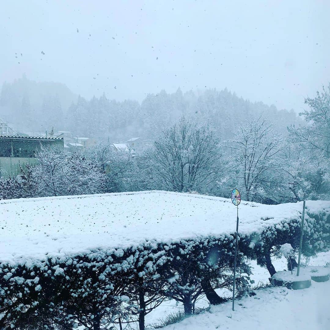 都竹悦子さんのインスタグラム写真 - (都竹悦子Instagram)「あらいやださぶい  #飛騨高山　#雪　#2020年3月5日 #名残雪にしては　#なごりすぎ　#なごりすぎる雪」3月5日 9時31分 - etsukotsuzuku