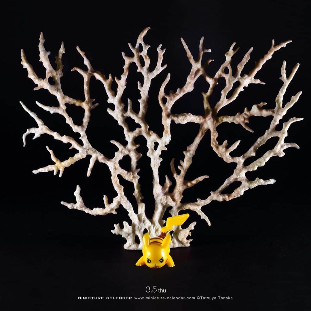 田中達也さんのインスタグラム写真 - (田中達也Instagram)「⠀ 3.5 thu “Thunderbolt” ⠀ 新型コロナウイルスに怒りの一撃 ⠀ #サンゴの日 #ピカチュウ #10万ボルト #Coral #Pikachu #⚡️ ⠀⠀ ────────────────── 《EXHIBITION info》 ⠀ 【small MUJI vol.1“Miniature”】 until: May 10, 2020 #smallMUJI #MUJIfinland ⠀ ℹ️Please look at the Instagram story’s highlight for more information. ⠀」3月5日 9時32分 - tanaka_tatsuya