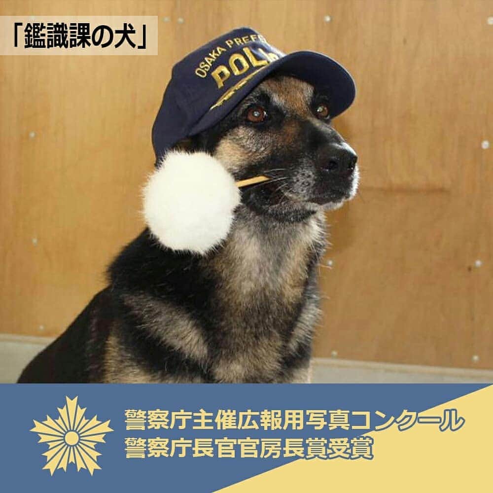 大阪府警察のインスタグラム