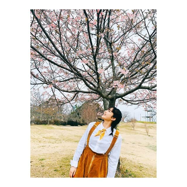 平祐奈さんのインスタグラム写真 - (平祐奈Instagram)「Yuna☆Tube 前回悔しい思いをしちゃった私にご褒美を下さいました‼︎🥺🍓 マッキー‼︎ありがとうございます🙏 大好きなイチゴに包まれてテンション上がっちゃた〜！ 更新されたのでみてね☺︎ #チャレンジyunatube  #マザー牧場  #いちご狩り」3月5日 10時08分 - yunataira_official