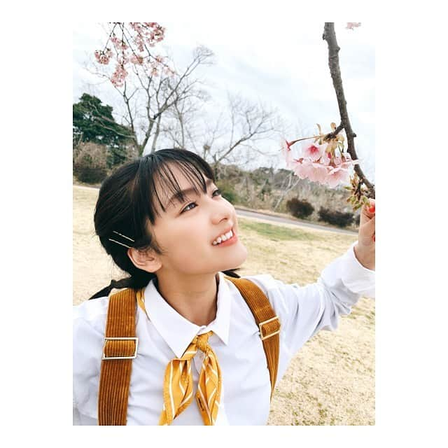 平祐奈さんのインスタグラム写真 - (平祐奈Instagram)「Yuna☆Tube 前回悔しい思いをしちゃった私にご褒美を下さいました‼︎🥺🍓 マッキー‼︎ありがとうございます🙏 大好きなイチゴに包まれてテンション上がっちゃた〜！ 更新されたのでみてね☺︎ #チャレンジyunatube  #マザー牧場  #いちご狩り」3月5日 10時08分 - yunataira_official