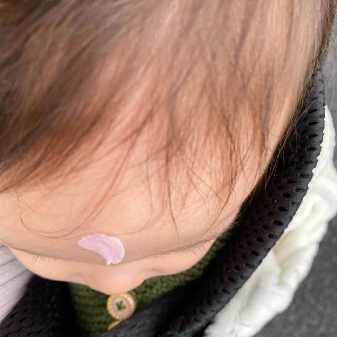 黒澤かなえのインスタグラム