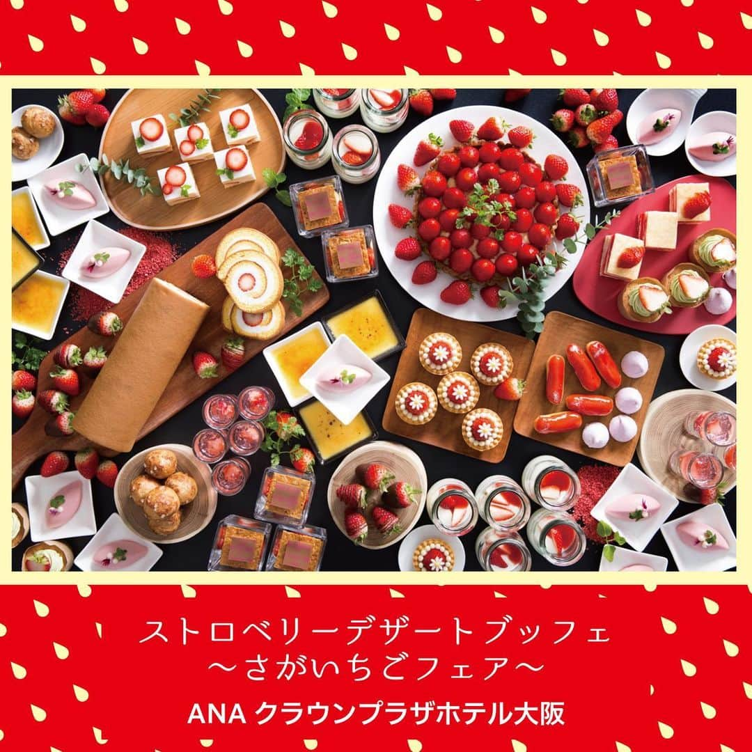 ANA CROWNE PLAZA TOYAMAさんのインスタグラム写真 - (ANA CROWNE PLAZA TOYAMAInstagram)「. 今回は、 ANAクラウンプラザホテル大阪 で開催中の「ストロベリーデザートブッフェ」をご紹介🍓💕 .  ANA クラウンプラザ ホテル大阪では  佐賀県産「さがほのか」や新品種の「いちごさん」を使った約30種のスイーツブッフェを2会場で開催中😋✨ . https://www.anacrowneplaza-osaka.jp/information/detail/?id=309 . ブランドいちごも食べ放題...😳 魅力的ですね...✨ . 大阪へお越しの際には、是非ANAクラウンプラザホテル大阪にお立ち寄りください♪ 詳しくは、@anacrowneplaza_osaka をご覧ください😆. . #anaクラウンプラザホテル大阪 の「ストロベリーデザートブッフェ~さがいちごフェア~」と 、 #anaクラウンプラザホテル富山 の「可愛いがあふれる!ハチミツと苺スイーツブッフェ」を よろしくお願いいたします🍓 . . . #anacrowneplazaosaka #anacrowneplazatoyama #anaクラウンプラザ #anacrowneplaza #富山 #toyama #大阪 #osaka #いちご #苺 #スイーツブッフェ #ストロベリースイーツ #🍓」3月5日 11時02分 - ana_crowne_plaza_toyama