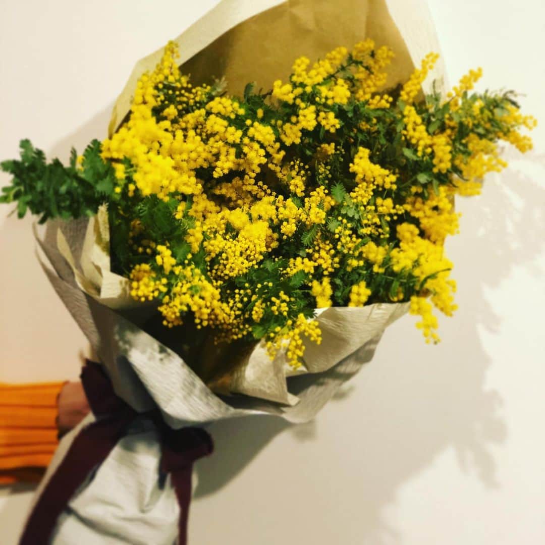 横山エリカのインスタグラム：「💐💐💐 #thankyou #bouquet #bouquetofflowers #mimosa #yellow #ブーケ #お花のある暮らし #ミモザ」