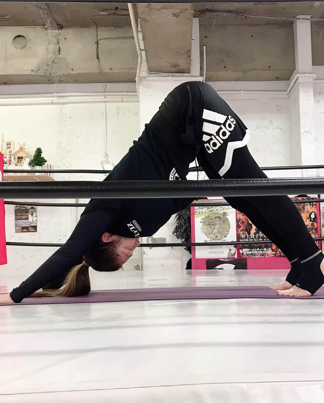 井上貴子さんのインスタグラム写真 - (井上貴子Instagram)「とうとう… スポーツジムも感染すると…  トレーニングが仕事！ みたいなとこもあり  ランニングマシンできないのは ちょっとしんどい。  でも外を走ればいい。  そしてワークアウトは道場で。  ディアナの道場がお引越しで 次の道場使えるまで ウチを使っているんだけど  時間まで トレーニングしようと思って 午前中に行ってきた^ ^ 終わる頃にディアナ選手と遭遇！  サトアヤの息子発見^ ^ 今日も元気に 「おはよーー！」って^ ^  かわいーなー！  Happyで^ ^  #井上貴子  #LLPWX #女子プロレス #紅緒と柊音 #トイプードル部 #ユリオカ超特急 #ラジオ無料アプリ #勢太郎の海賊ラジオ #ピカピカ高速船 #ディアナ女子プロレス」3月5日 13時05分 - takaco_inoue