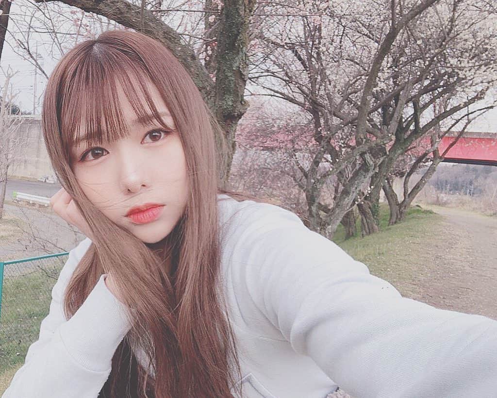 水城夢子のインスタグラム：「お婆ちゃんゆめこが何度会いに行っても嬉しそうにうめちゃんうめちゃんって呼んできて可愛かったなあ　まあ梅も綺麗だよね . . . . . #plumblossom #sakura #spring #cherryblossom」