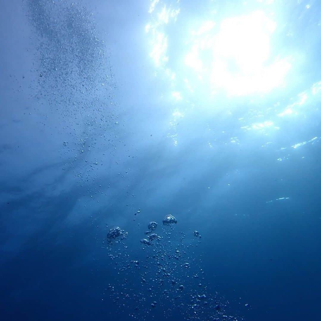 今西由記（ゆきぴ）さんのインスタグラム写真 - (今西由記（ゆきぴ）Instagram)「#scubadiving  #スキューバダイビング  なんか消えてたから上げ直し」3月6日 0時15分 - yukipi_official