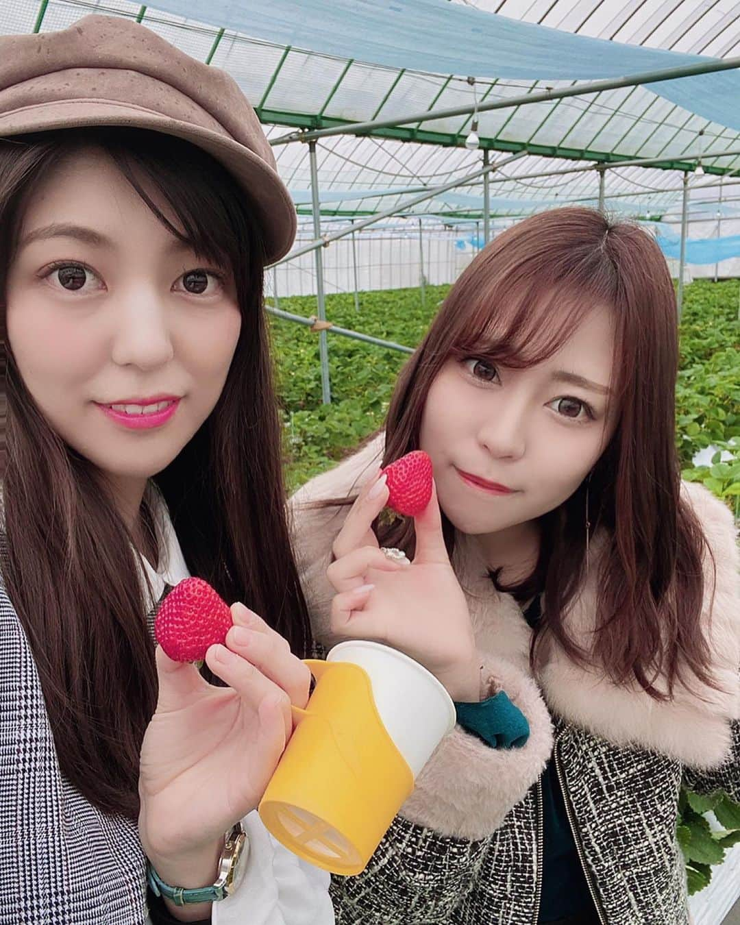 福井柑奈さんのインスタグラム写真 - (福井柑奈Instagram)「福岡に遊びに行ったよー(*^ω^*)🍓 .  いちご狩りした〜(*^^*)🍓 あまおう、紅ほっぺ、かおりの、さがほのか、よつぼしの5品種が食べ放題😍👍 .  全部美味しいんだけど、 最終的にはあまおうずっと食べてたなぁ〜🥺🍓💓 赤くて大きくて甘くて美味しい😍🍓 . 天神から西鉄電車で🙃！ プチ遠足みたいで楽しかった💞 ありがとうエリナちゃん💞💞 . #福岡 #いちご狩り #大木町 #道の駅おおき #いちご食べ放題 #苺 #あまおう #あまおう食べ放題 #さがほのか #かおり野 #紅ほっぺ #よつぼし #観光農園ラフレーズ #福岡いちご狩り #八丁牟田 #strawberry #🍓 #苺大好き #❤️ #followｍe」3月5日 17時32分 - kanna_fukui