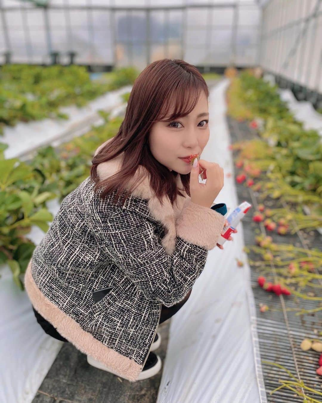 福井柑奈さんのインスタグラム写真 - (福井柑奈Instagram)「福岡に遊びに行ったよー(*^ω^*)🍓 .  いちご狩りした〜(*^^*)🍓 あまおう、紅ほっぺ、かおりの、さがほのか、よつぼしの5品種が食べ放題😍👍 .  全部美味しいんだけど、 最終的にはあまおうずっと食べてたなぁ〜🥺🍓💓 赤くて大きくて甘くて美味しい😍🍓 . 天神から西鉄電車で🙃！ プチ遠足みたいで楽しかった💞 ありがとうエリナちゃん💞💞 . #福岡 #いちご狩り #大木町 #道の駅おおき #いちご食べ放題 #苺 #あまおう #あまおう食べ放題 #さがほのか #かおり野 #紅ほっぺ #よつぼし #観光農園ラフレーズ #福岡いちご狩り #八丁牟田 #strawberry #🍓 #苺大好き #❤️ #followｍe」3月5日 17時32分 - kanna_fukui