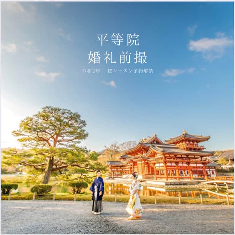 TAKAMI BRIDAL 神社和婚のインスタグラム：「【令和2年桜シーズン婚礼前撮解禁！】 ﻿ 世界遺産・平等院との共同事業として サービスを展開している婚礼前撮に関して 令和2年桜シーズンを解禁致しました  昨年5月に始まったなかで 桜の時期は始めての 前撮シーズンとなります  拝観時間外に平等院を貸し切りながら 境内の桜をご覧いただき  特別な空間でおふたりの思い出を のこすことが叶います  組数限定でございますので 皆様からのご相談お待ち致しております ------------------------------------------------------- お問い合わせ先 TAKAMI BRIDAL KYOTO TEL: 075-351-7722 Mail: kyoto@takami-bridal.com ------------------------------------------------------- ﻿ #takamibridal #kimono #kyoto #japan #wedding #photography #photooftheday  #instagood  #instalike #byodointemple  #平等院 #和装 #色打掛 #白無垢 #着物 #和婚 #和装前撮り  #神社仏閣 #前撮り #和装花嫁 #2020春婚 #2020夏婚」