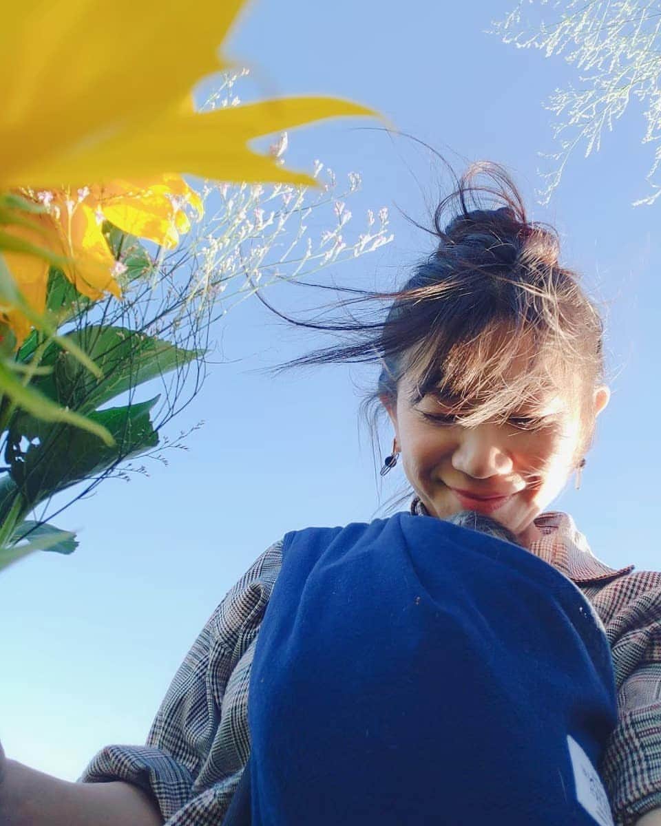 服部ひで子のインスタグラム：「今日は  風が強いですね。  新コロちゃんも  この風に乗って  どっか  遠い遠い旅に  出てくれたらいいのにな～。 ・ ・ ・  あ、風にのって飛んだら  飛散するのか！💦 あかんがな！」