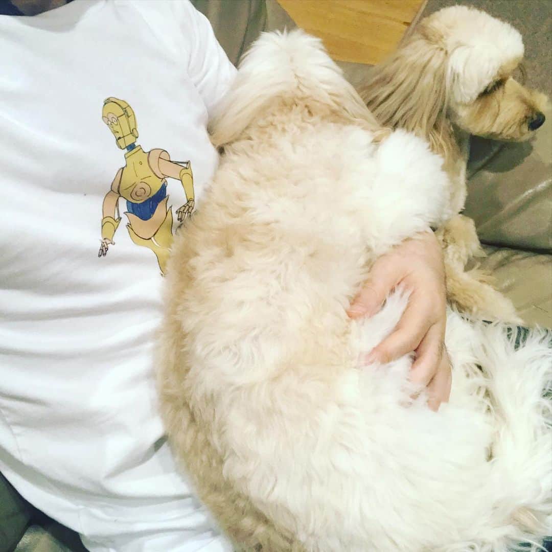 北山陽一のインスタグラム：「スタジオから出るとしばらくこうなる。あまえんぼう進行中。#きたやまおかき #きたやまおもち」
