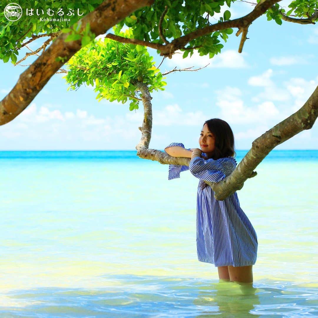 HAIMURUBUSHI はいむるぶしさんのインスタグラム写真 - (HAIMURUBUSHI はいむるぶしInstagram)「若夏の昼下がり、瑠璃色の水平線を眺めながら、微睡む心地よい島時間… 木陰の下で涼みながら海風に吹かれ、心も体も癒されます。 #沖縄 #八重山諸島 #小浜島 #はいむるぶし #japan #okinawa #yaeyamaislands #kohamaisland #haimurubushi」3月6日 1時51分 - haimurubushi_resorts