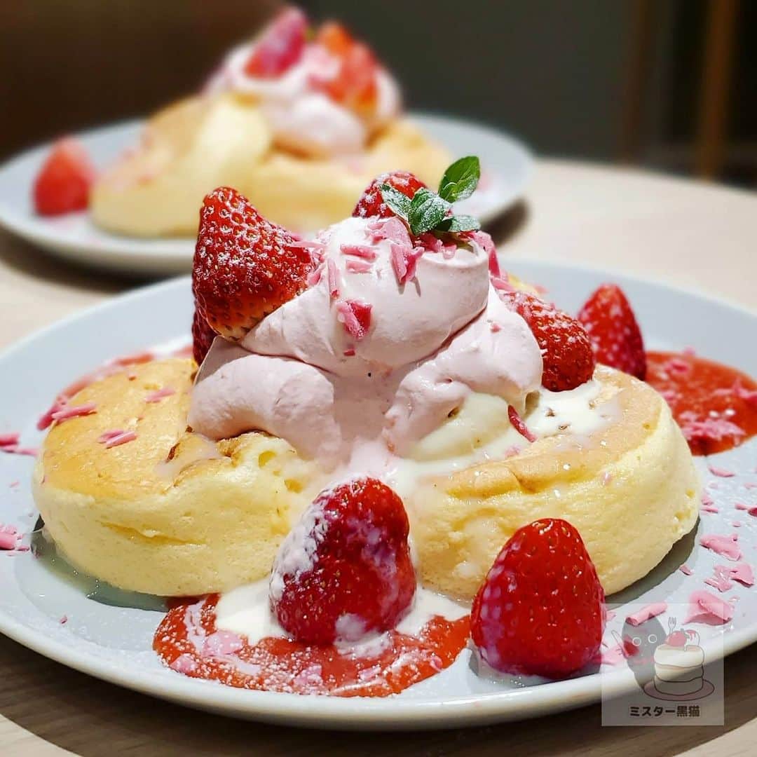 ミスター黒猫（黒猫仙人）のグルメインスタ